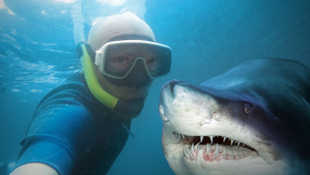 Snapping Selfies with Wild Animals Is a New Trend