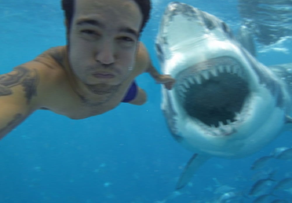 Snapping Selfies with Wild Animals Is a New Trend 14