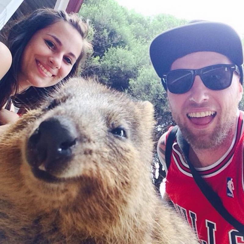 Snapping Selfies with Wild Animals Is a New Trend 16