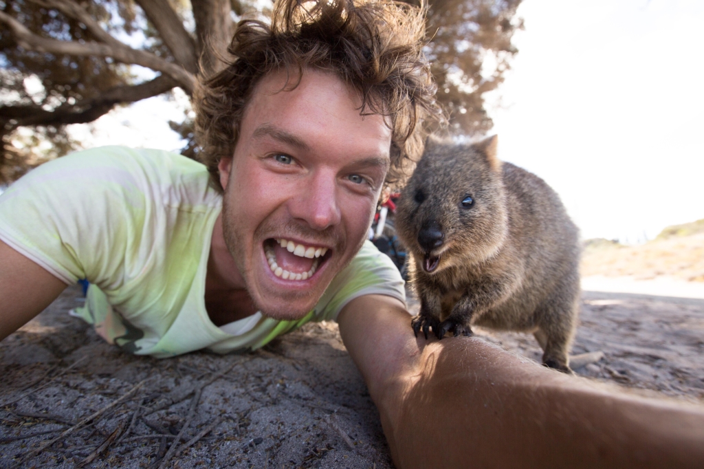 Snapping Selfies with Wild Animals Is a New Trend 17