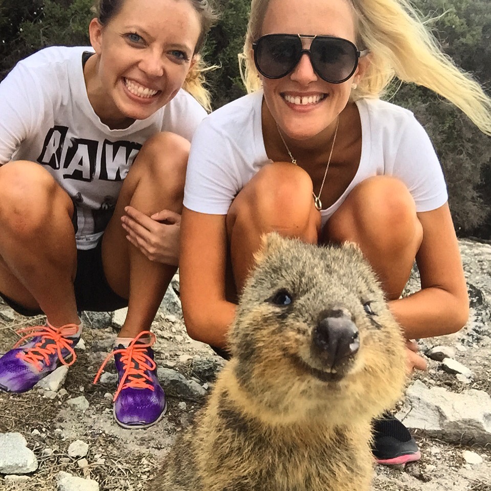 Snapping Selfies with Wild Animals Is a New Trend 18