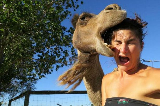 Snapping Selfies with Wild Animals Is a New Trend 19