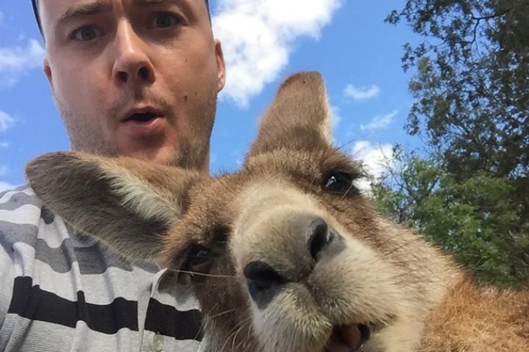 Snapping Selfies with Wild Animals Is a New Trend 21