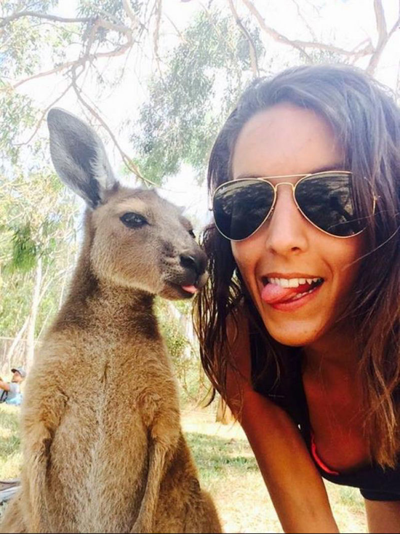 Snapping Selfies with Wild Animals Is a New Trend 24