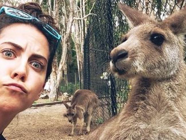 Snapping Selfies with Wild Animals Is a New Trend 25