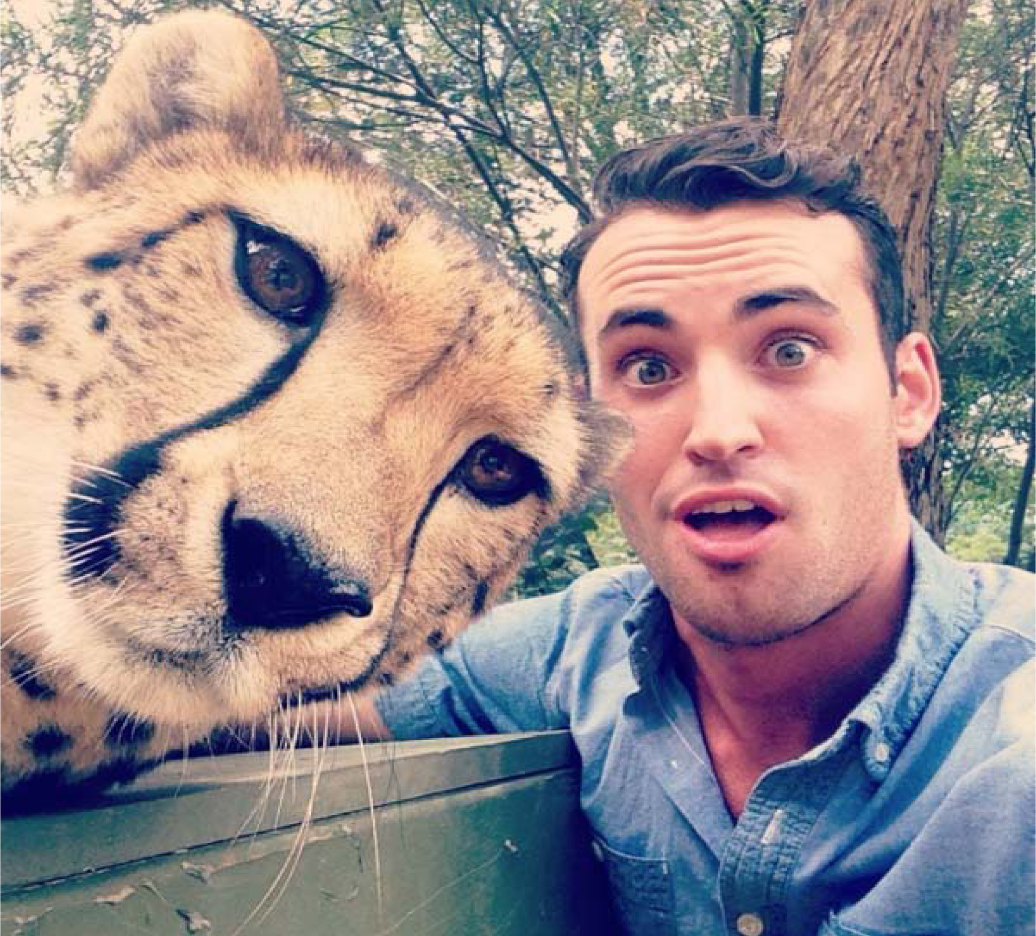 Snapping Selfies with Wild Animals Is a New Trend 27