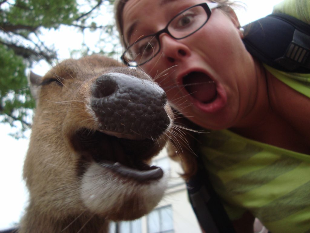 Snapping Selfies with Wild Animals Is a New Trend