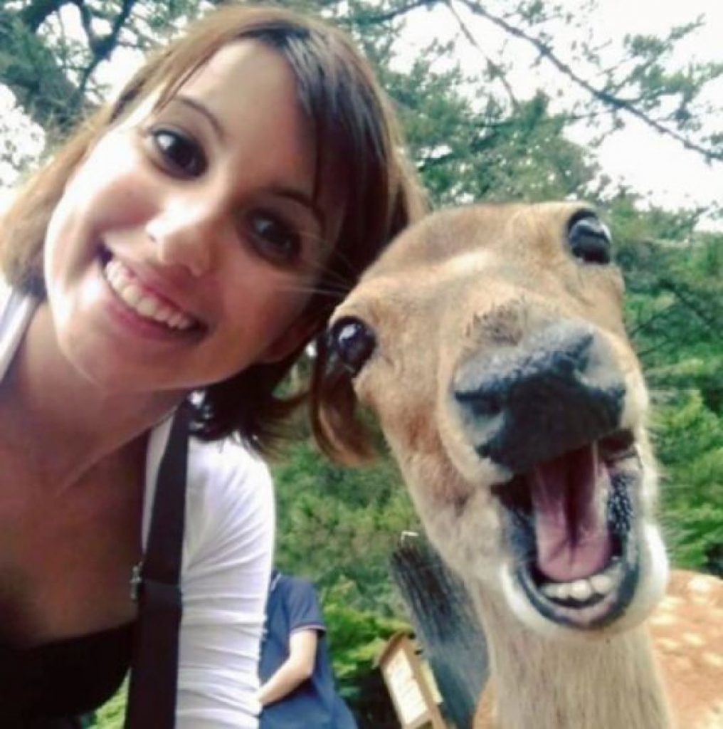 Snapping Selfies with Wild Animals Is a New Trend
