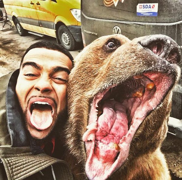 Snapping Selfies with Wild Animals Is a New Trend 6