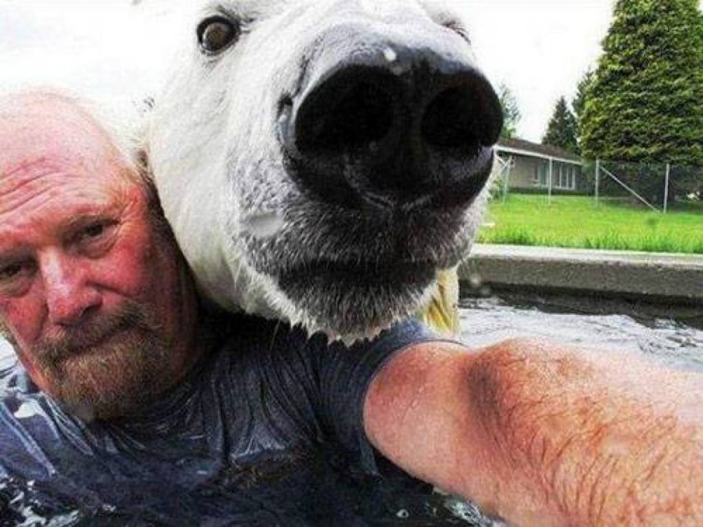 Snapping Selfies with Wild Animals Is a New Trend