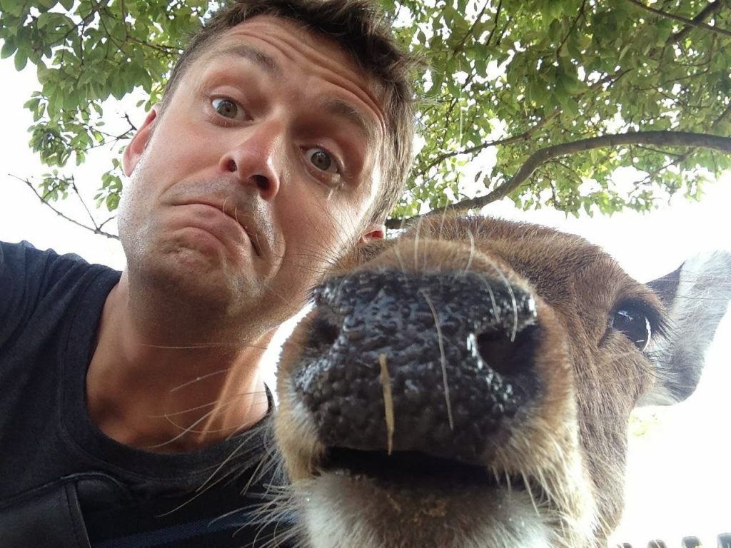 Snapping Selfies with Wild Animals Is a New Trend