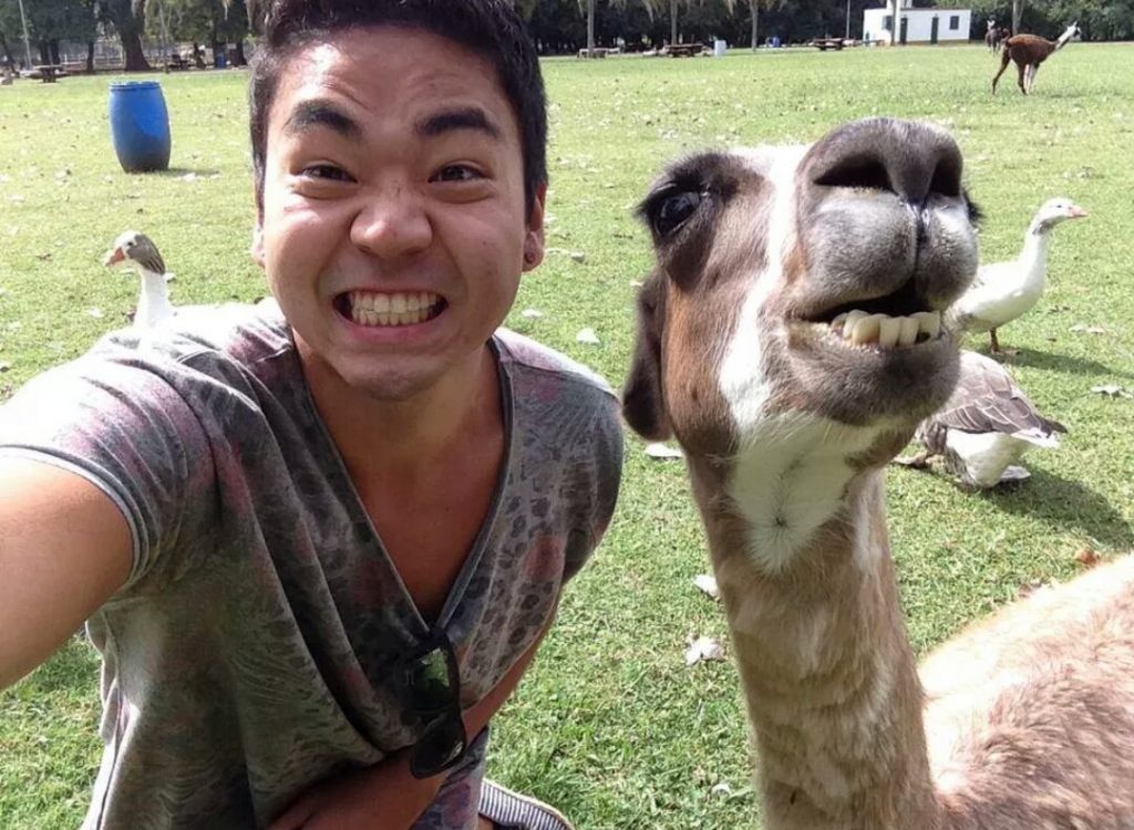 Snapping Selfies with Wild Animals Is a New Trend