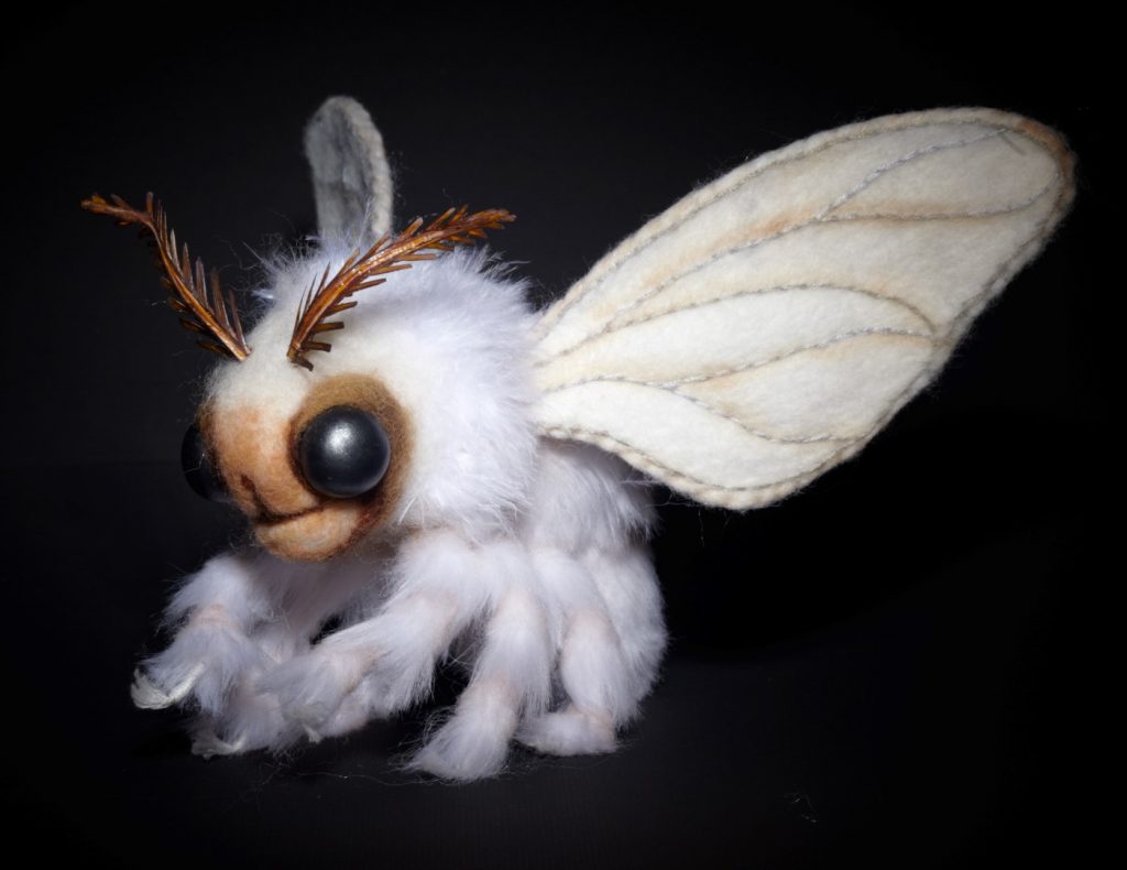 15 of The Most Terrifying Animals You Never Knew About