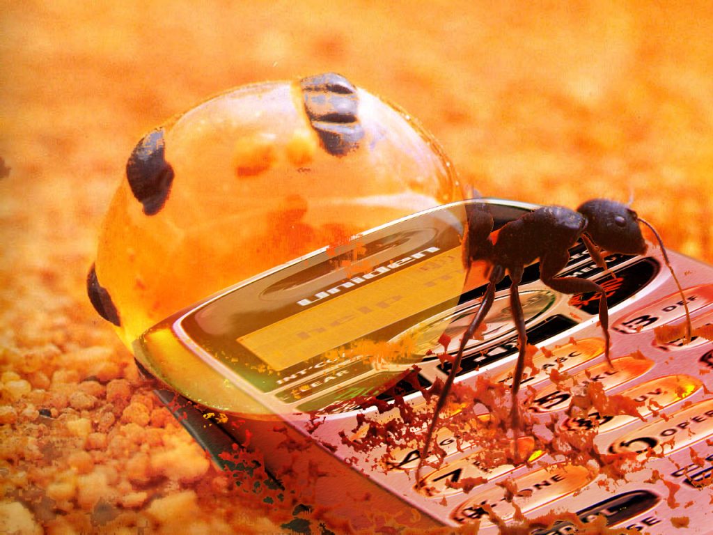 15 of The Most Terrifying Animals You Never Knew About