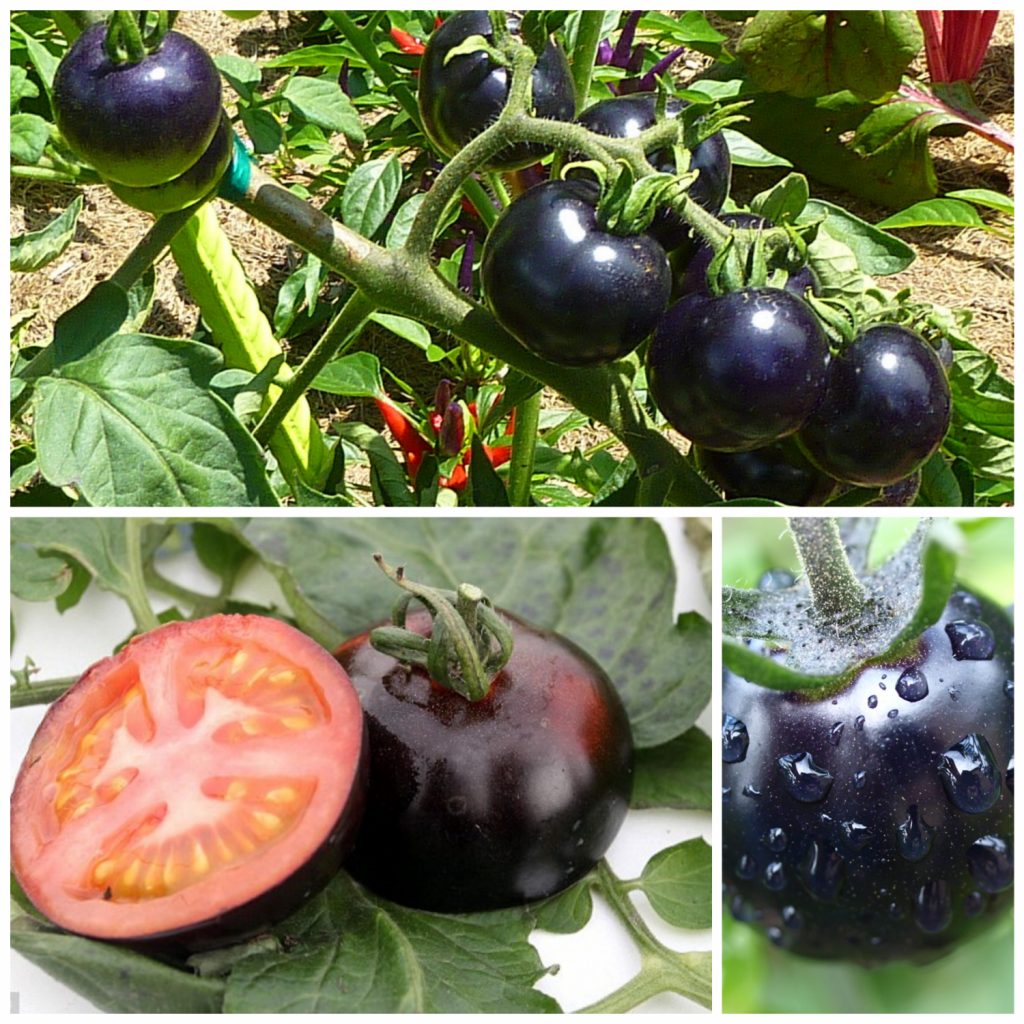 10 Weirdest Delicious-Looking Fruits
