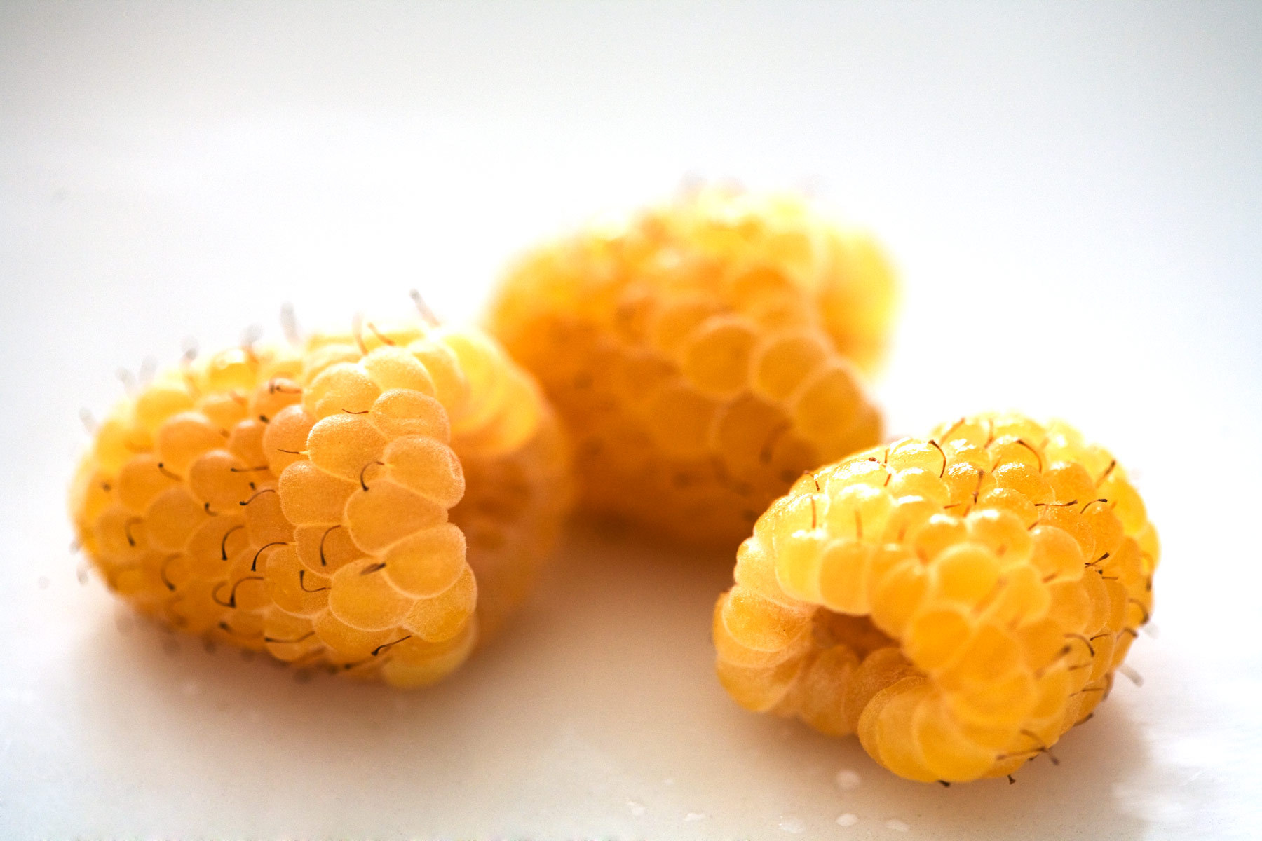 8. Yellow_blue raspberries 1