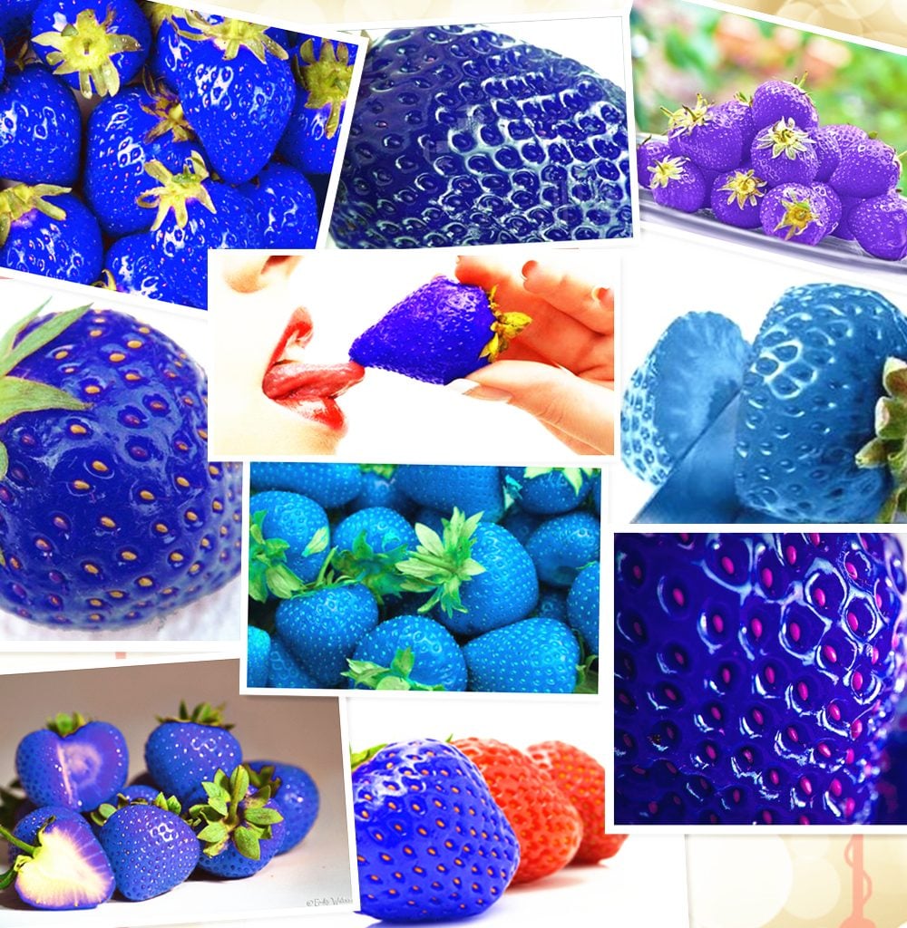 10 Weirdest Delicious-Looking Fruits