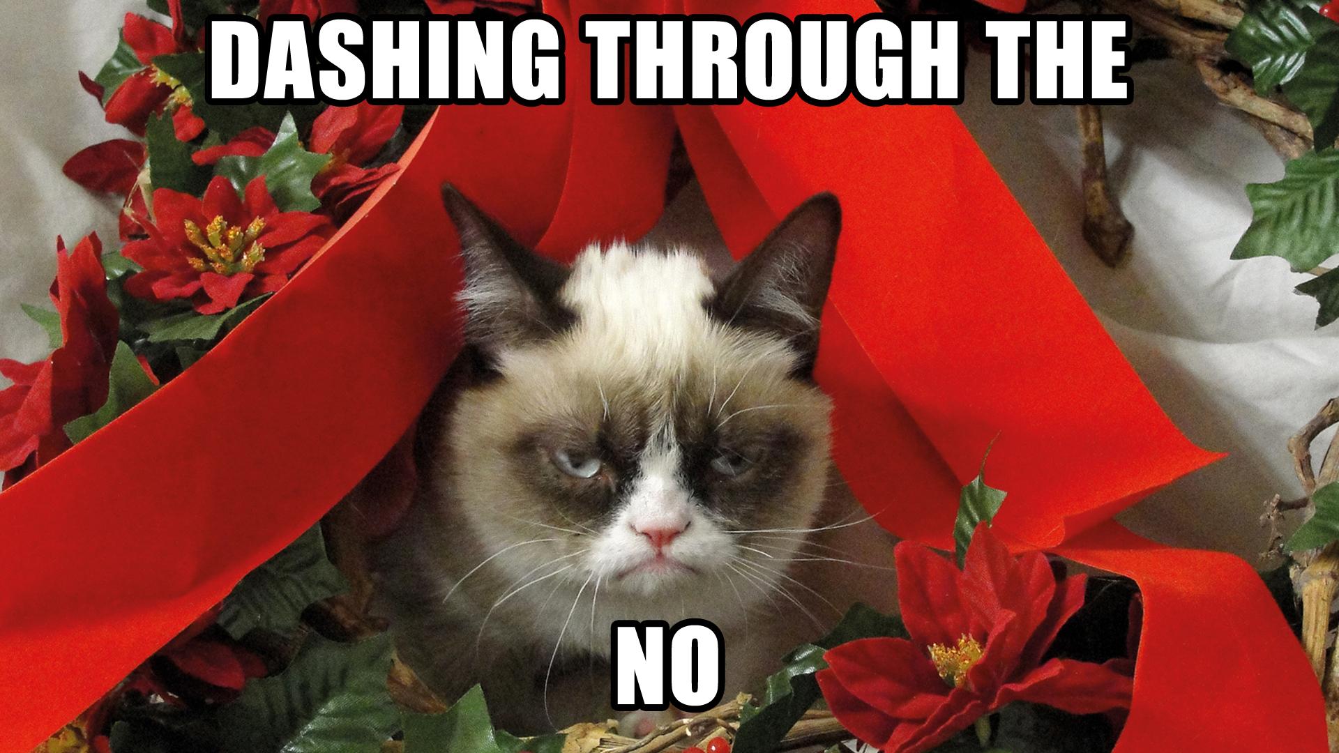 Grumpy Cat 6