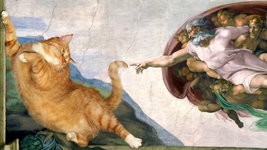 15 Most Famous Internet Cats