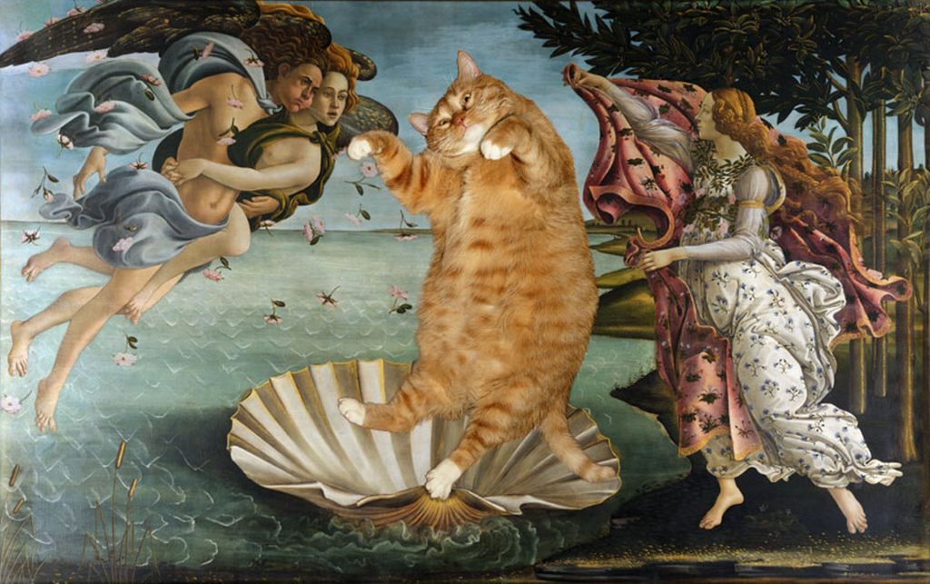 15 Most Famous Internet Cats