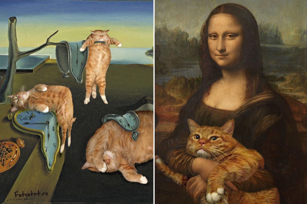 15 Most Famous Internet Cats