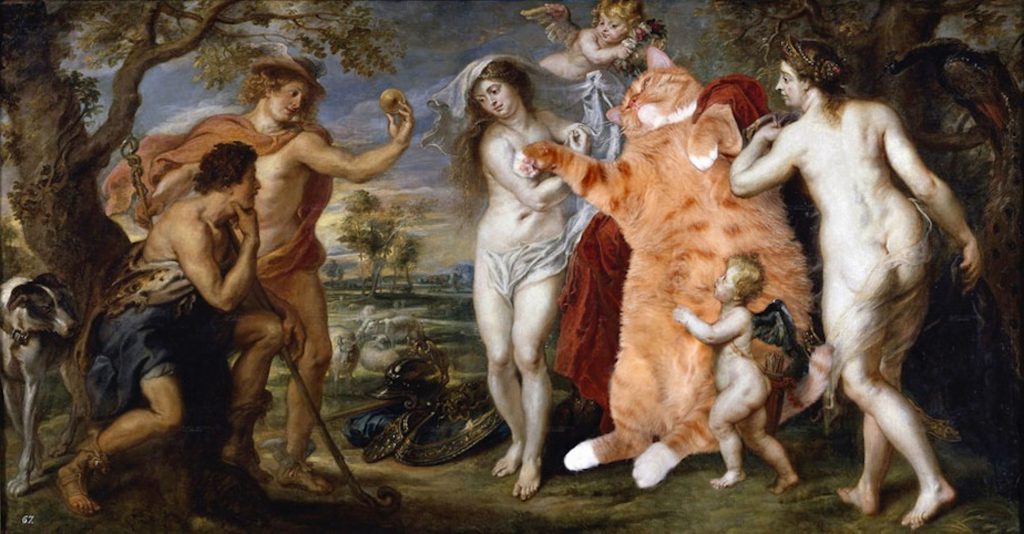 15 Most Famous Internet Cats