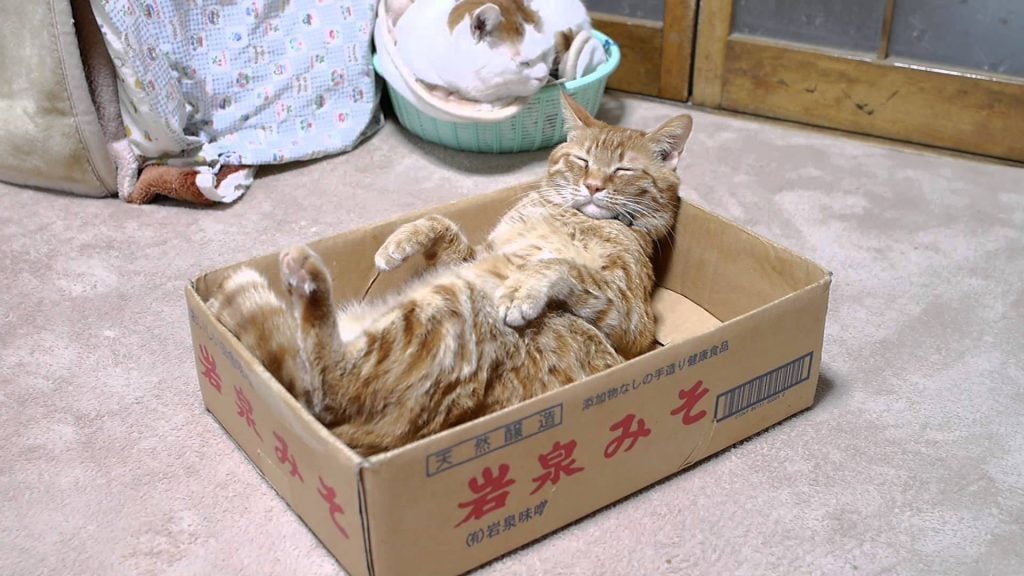 14 Amazing Beds You’ll Never Want to Get Out of in the Morning