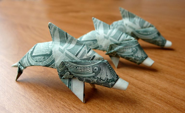 how to make a dolphin out of a dollar bill how to make a dolphin out of a dollar bill
