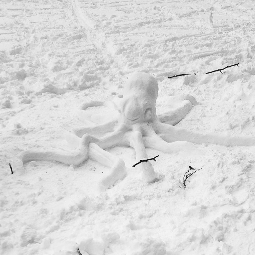 13 Reasons The Blizzard 2016 Was This Winter’s Most Photogenic Event