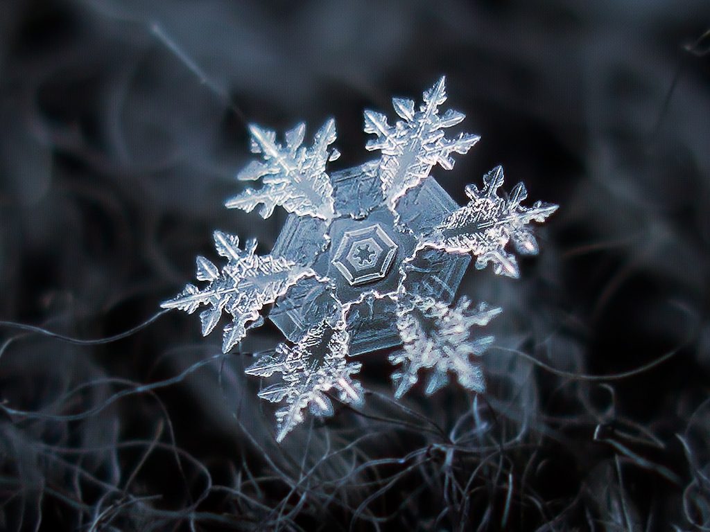 20 Amazing Macro Photos That Take You To Another World