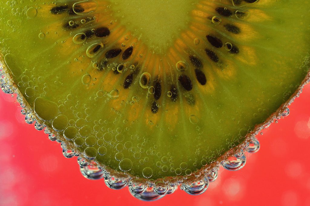20 Amazing Macro Photos That Take You To Another World
