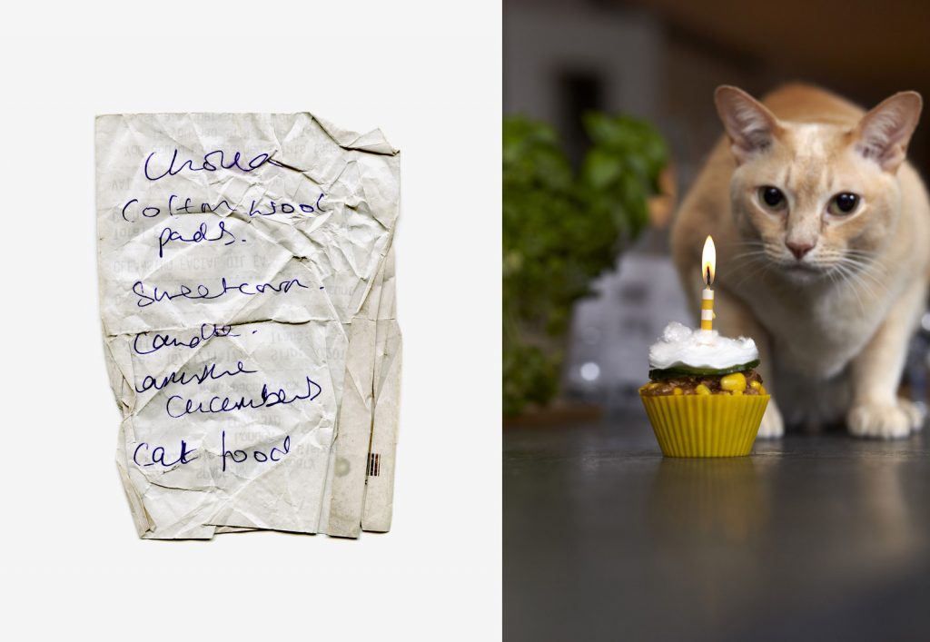 Thomas Lakeman’s Cookbook: Freaky Recipes You Will NEVER Want to Cook!