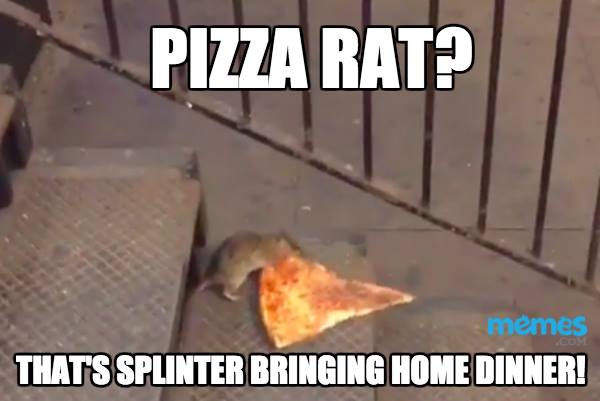 10 Hilarious Internet Memes of 2015