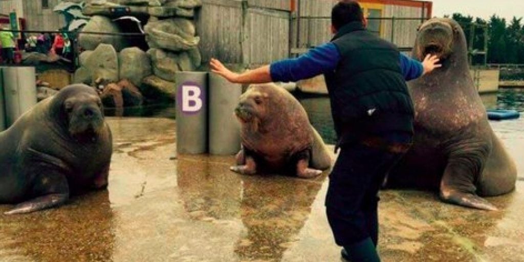 10 Hilarious Internet Memes of 2015