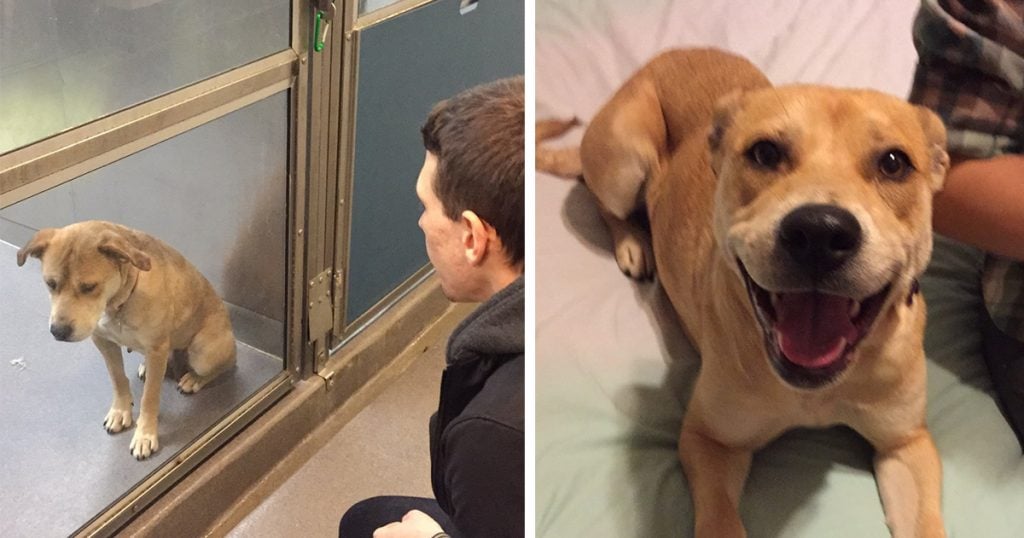25 Amazing Photos That Will Warm Your Heart and Restore Your Faith In Humanity