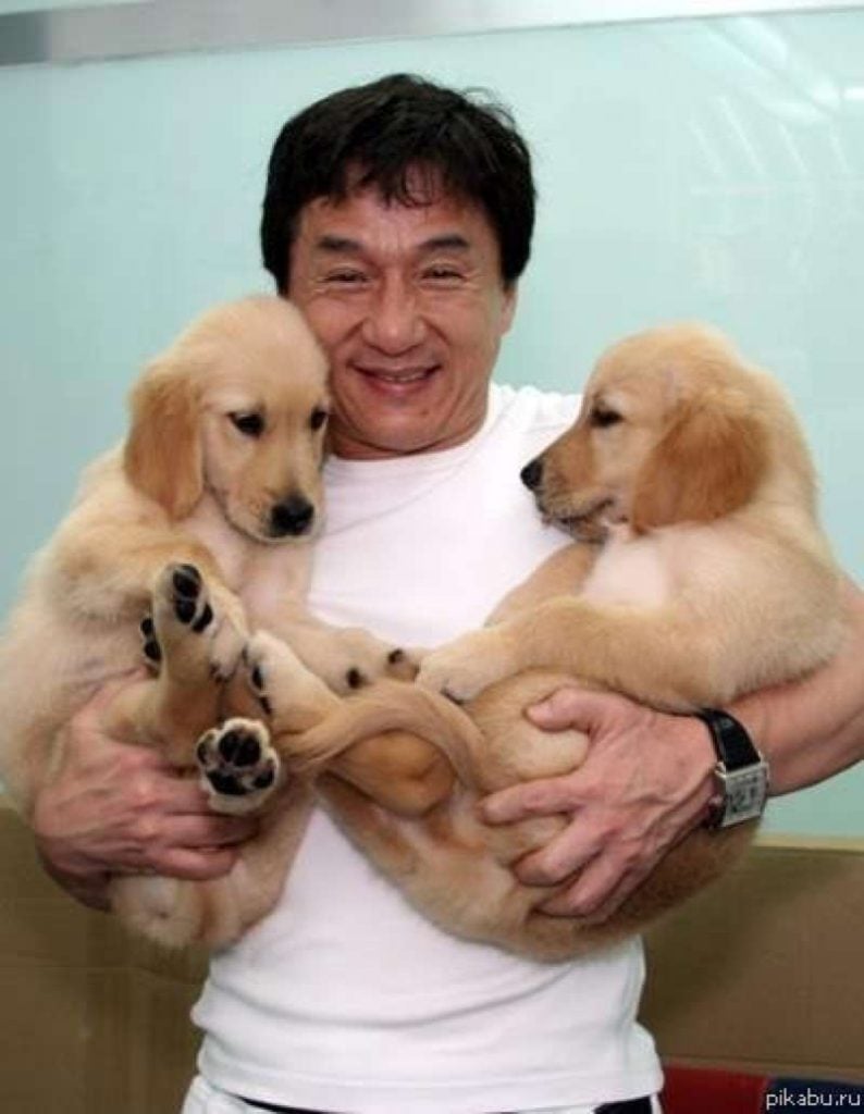 25 Amazing Photos That Will Warm Your Heart and Restore Your Faith In Humanity