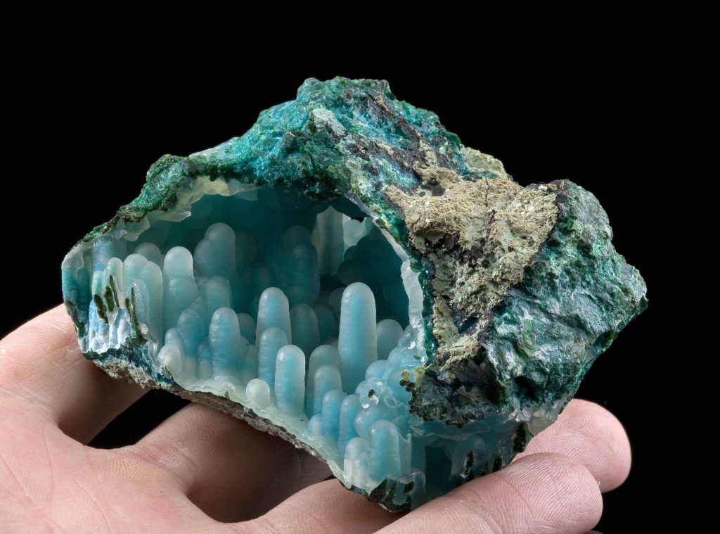 46  Mesmerizing Pictures of Things Cut in Half
