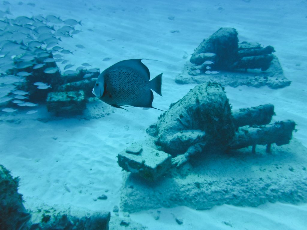 Astonishing Underwater Museum in Cancun, Mexico