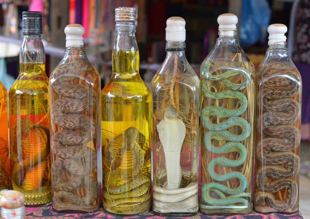 10 Ickiest Foods that Will Make You Gag