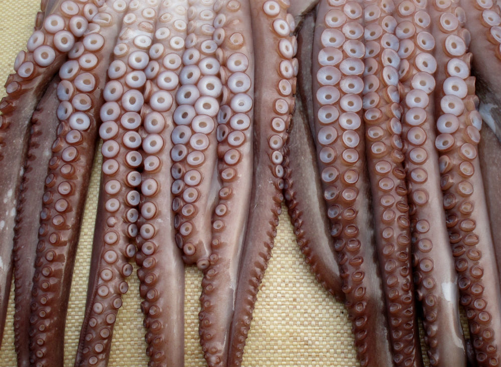 10 Ickiest Foods that Will Make You Gag