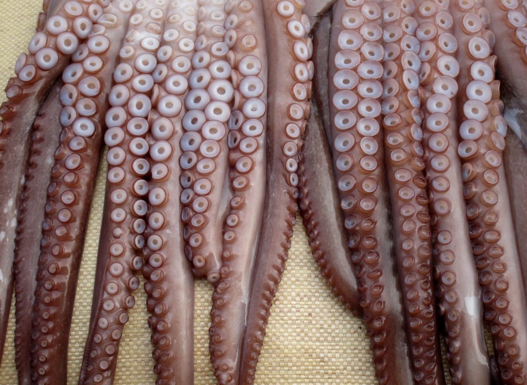 10 Ickiest Foods that Will Make You Gag