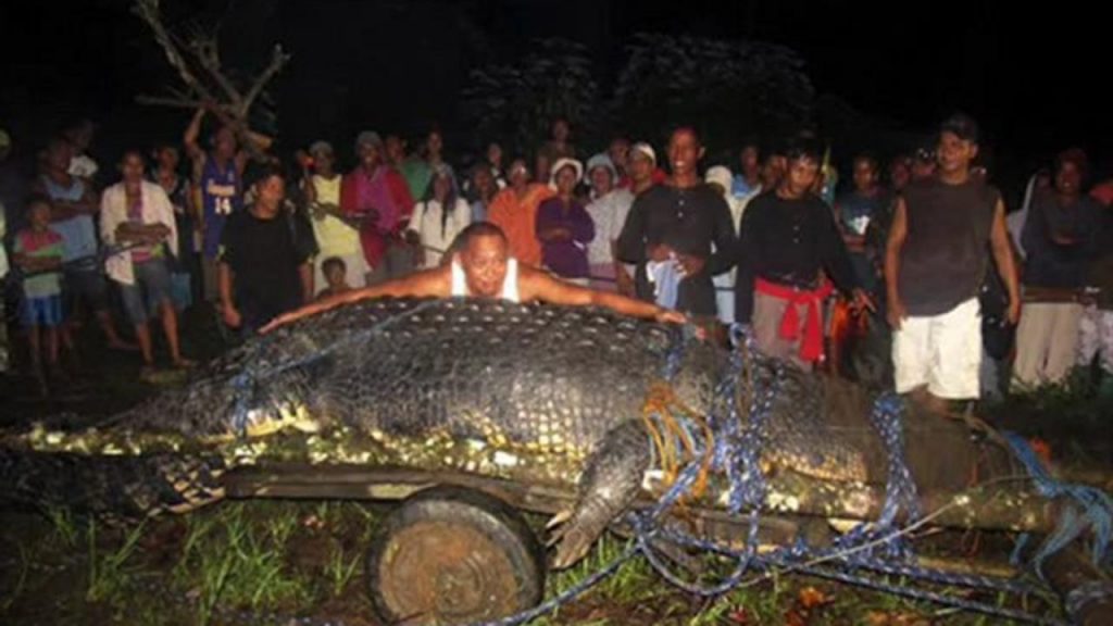 7 Incredible Animals You Can Find Only in the Philippines