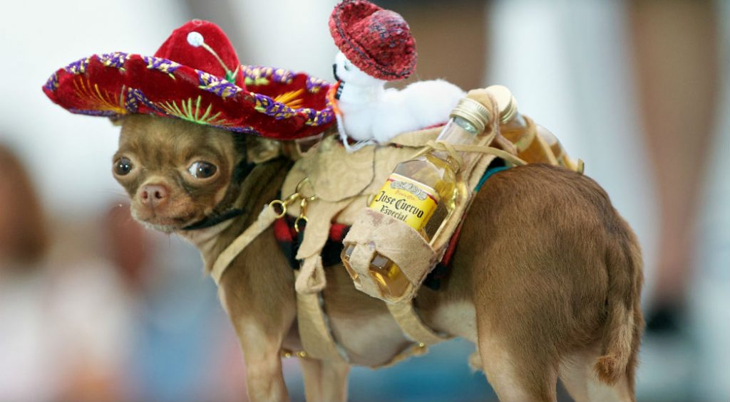 Top 8 Laughable Stereotypes about Mexicans