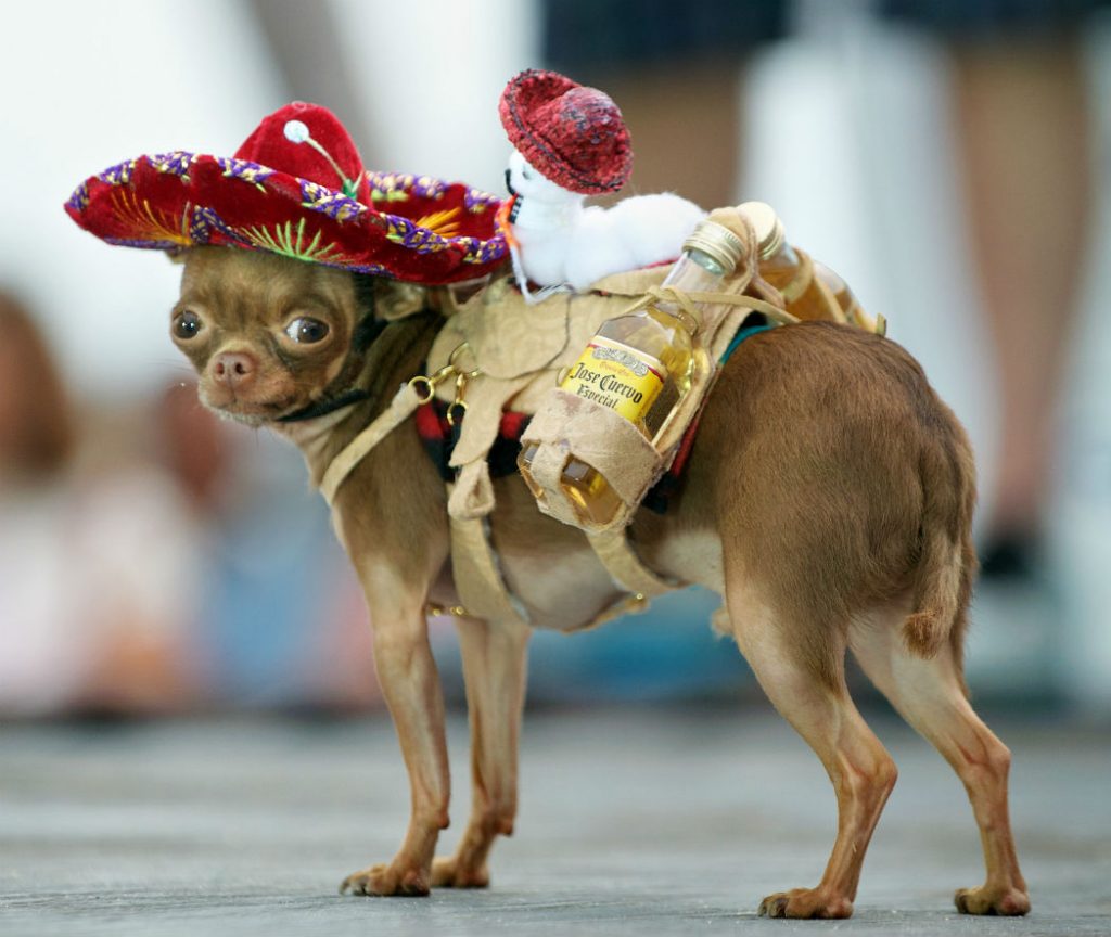 Top 8 Laughable Stereotypes about Mexicans
