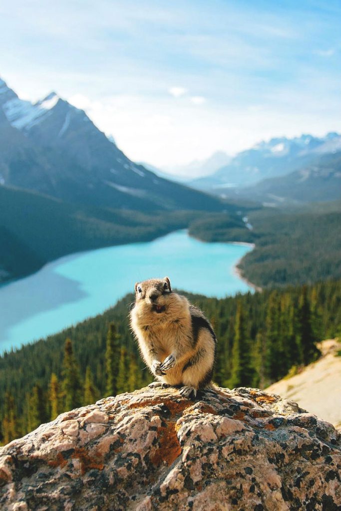 14 Most Gorgeous Lakes on the Planet