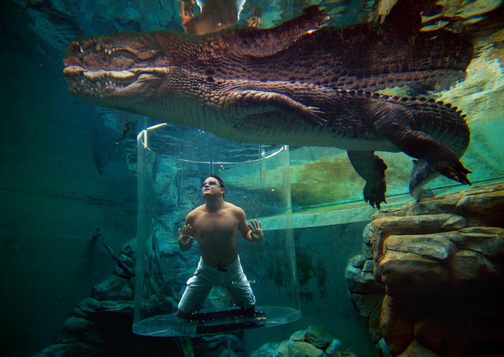 7 Of The Most Insane Pools On Earth
