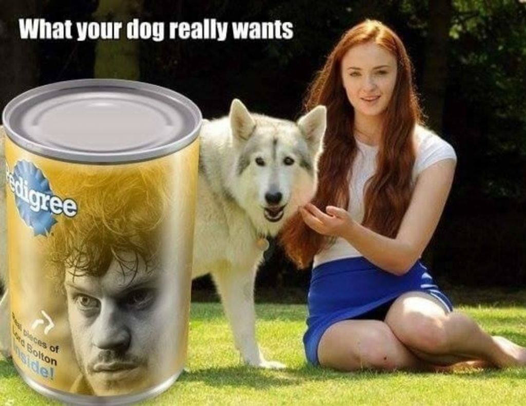 Best of Game of Thrones Season 6 Memes