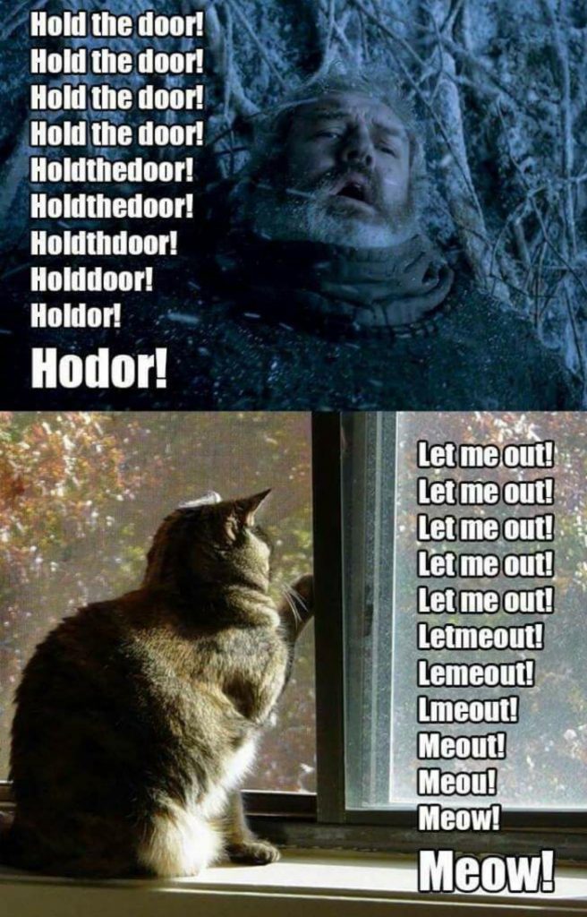 Best of Game of Thrones Season 6 Memes