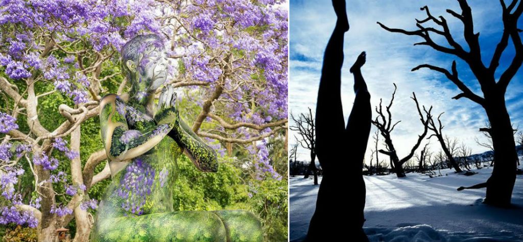 4 Body Painters Who Blend Humans Into Surroundings