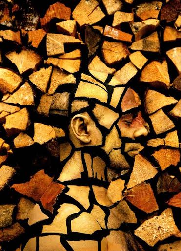 4 Body Painters Who Blend Humans Into Surroundings